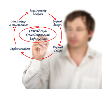 Database development lifecycle